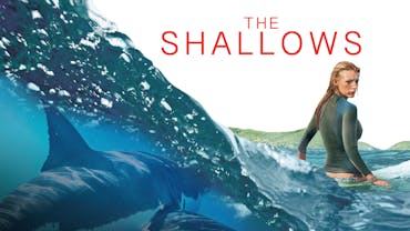 The Shallows