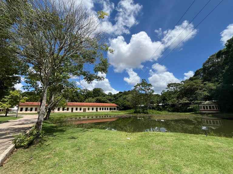 Conheça o jardim Botânico