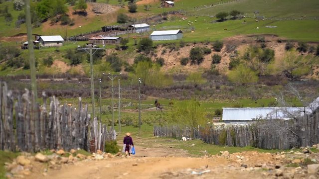 Lady walking on dirt road of Mapuche community in the region of Trapa Trapa Alto Biobio. Chile. Flat plane