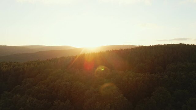 Lens flare in mountains at orange sunset in summer morning aerial view drone. Sun rays. Green pine forest slopes of mountain range. Bright disk of sun in blue sky slowly sets tops of mountains. Nature