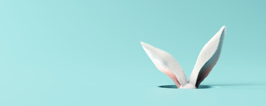 White rabbit ear on pastel blue background. Easter day. 3d rendering