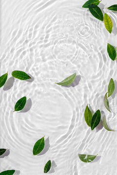 Green leaves on water surface. Beautiful water ripple background for product presentation. Copy space