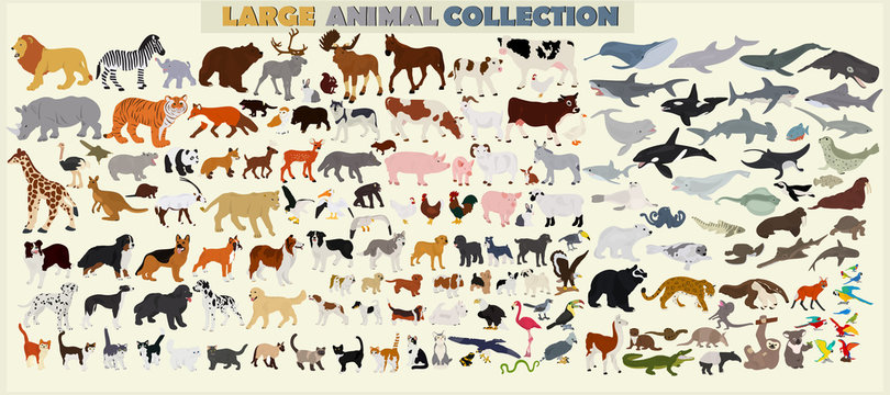 A large set of animals of the world on a light background.