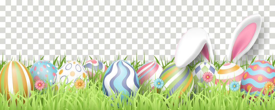 Happy Easter background with realistic painted eggs, grass, flowers, and rabbit ears. Vector illustration isolated on transparent background