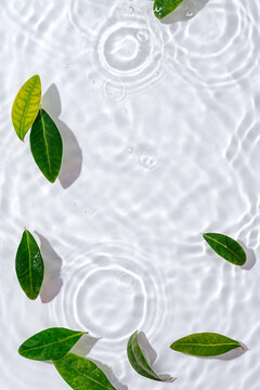 Water ripple with green leaves. Trendy white background for cosmetic product presentation. Artistic concept. Copy space