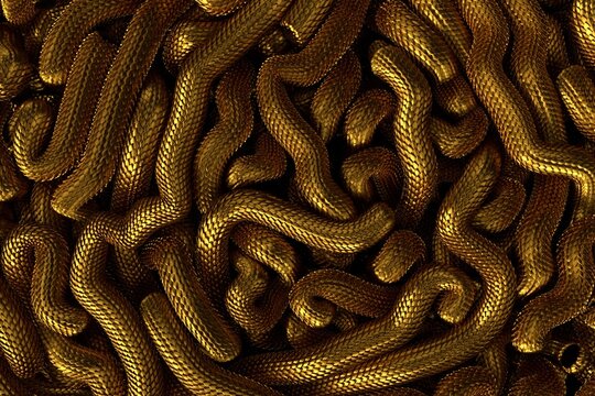 Golden metal texture of dragon or snake scales.