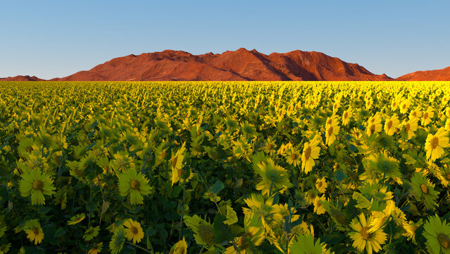 Sunflower Splendor Against Red Mountain Range