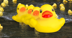 duck derby, phillipsburg rotary, huntington fire