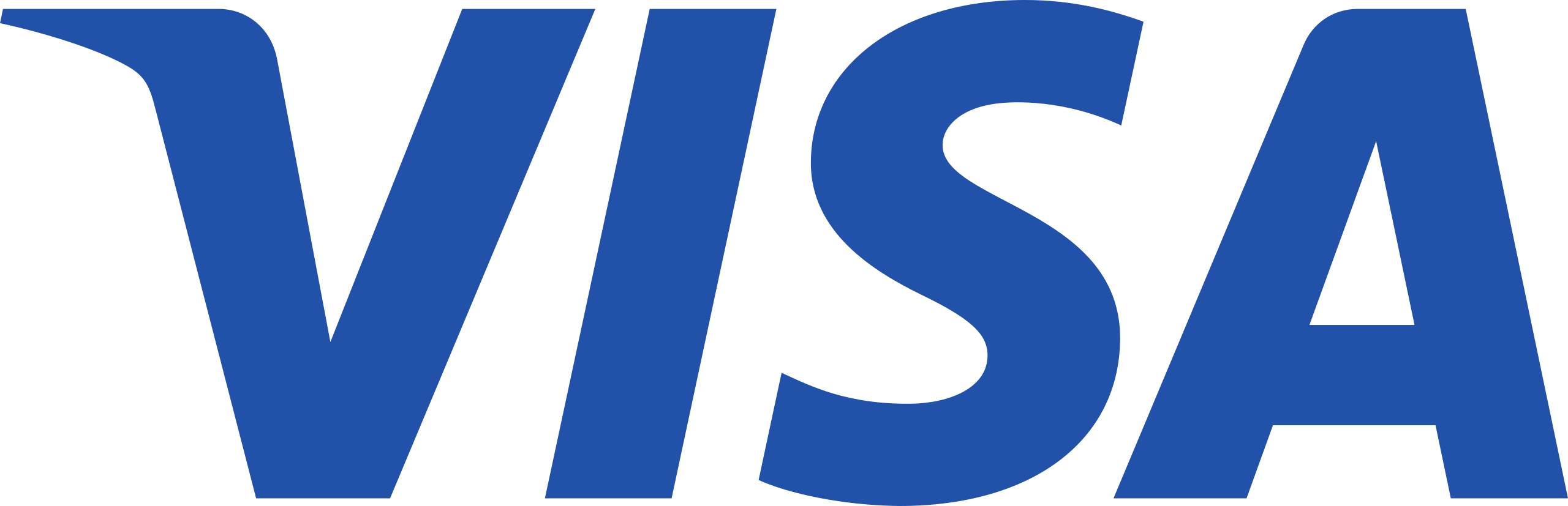 Visa Inc. Logo