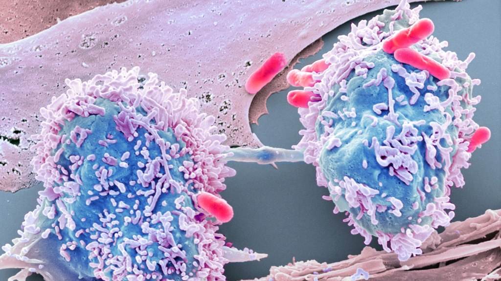 Companies tracking mutations in cancer cells can provide a key to unlocking better therapies