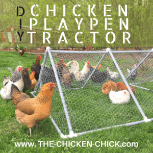 DIY Chicken Playpen Tractor 