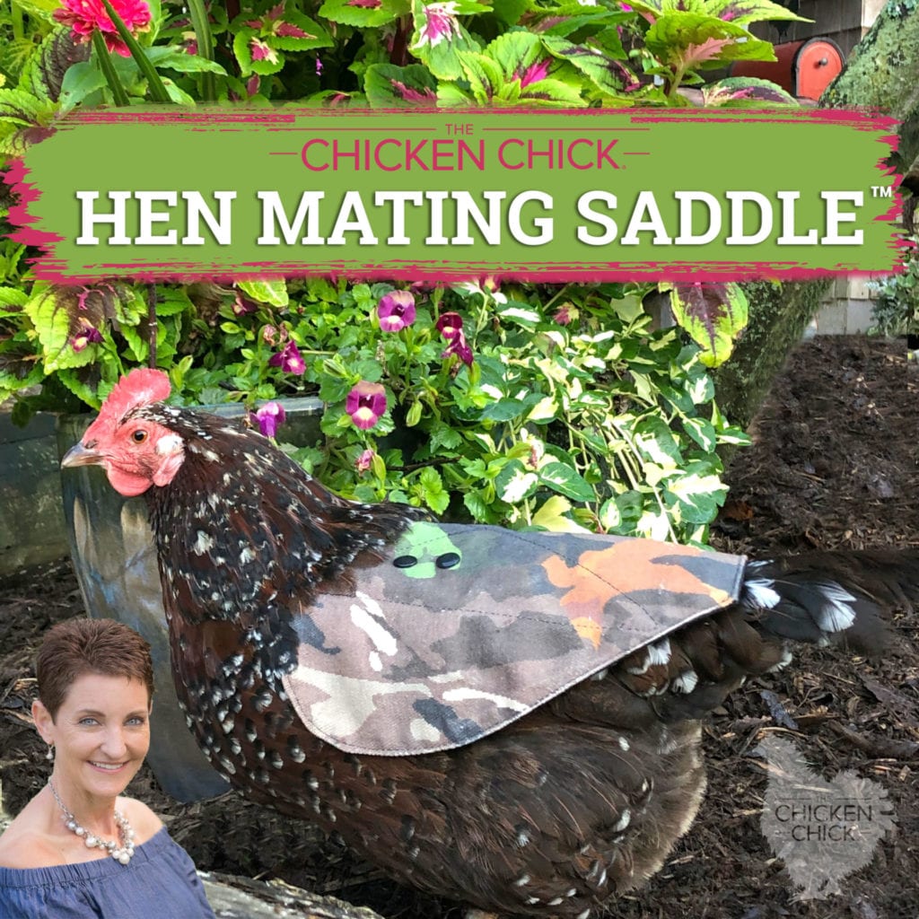 hen saddle