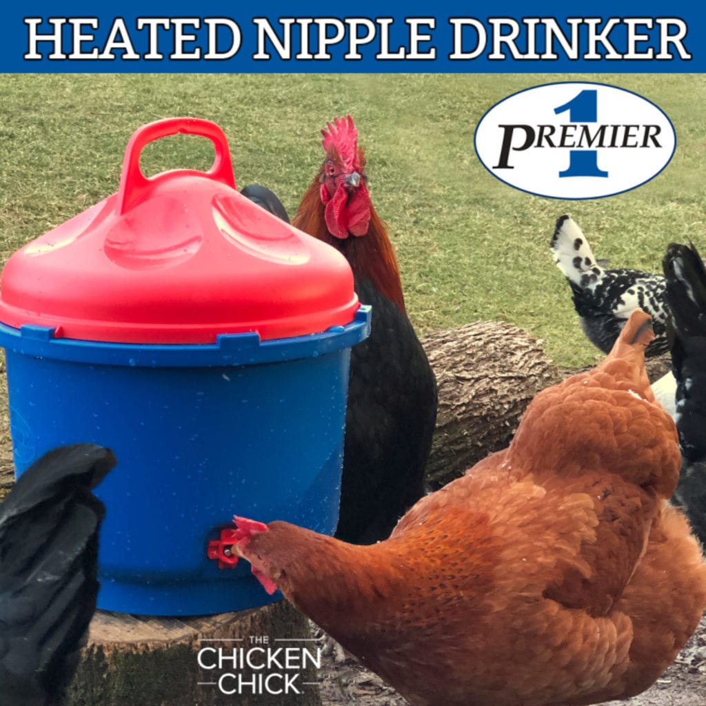 nipple drinker