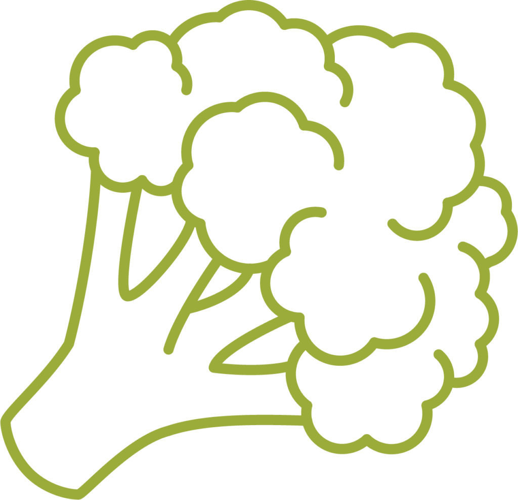 icon of broccoli 