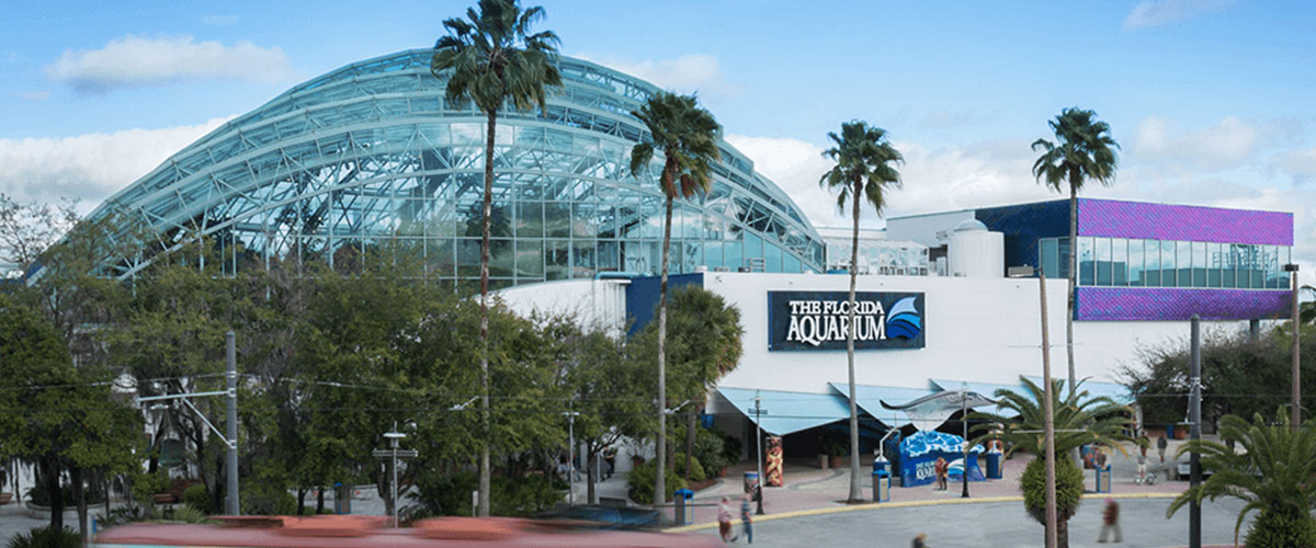 The Florida Aquarium