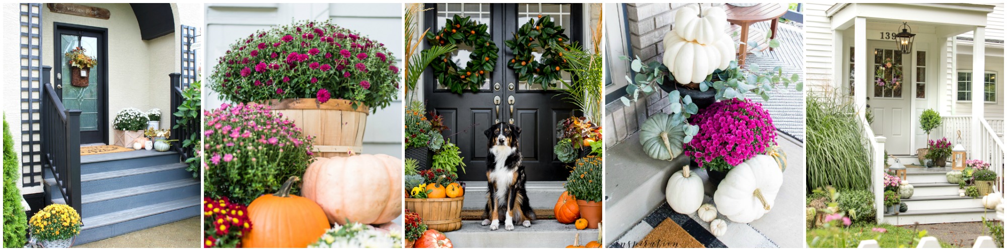 Neutral Fall Porch with Pumpkins and Cornstalks