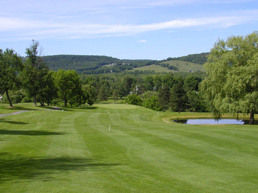 A golf course with trees and water in the background.