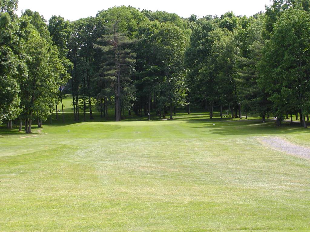 A green field with trees in the background