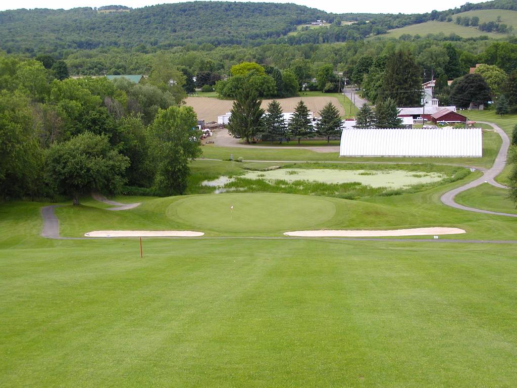 A view of a golf course with trees in the background.