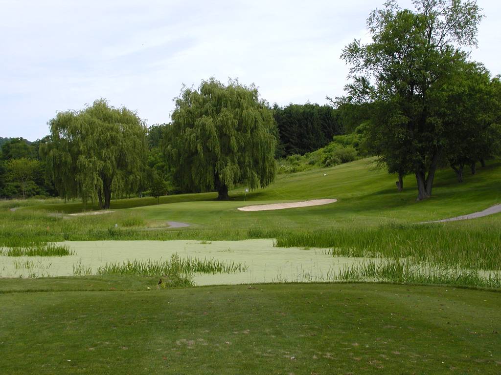 A golf course with trees and water in the foreground.