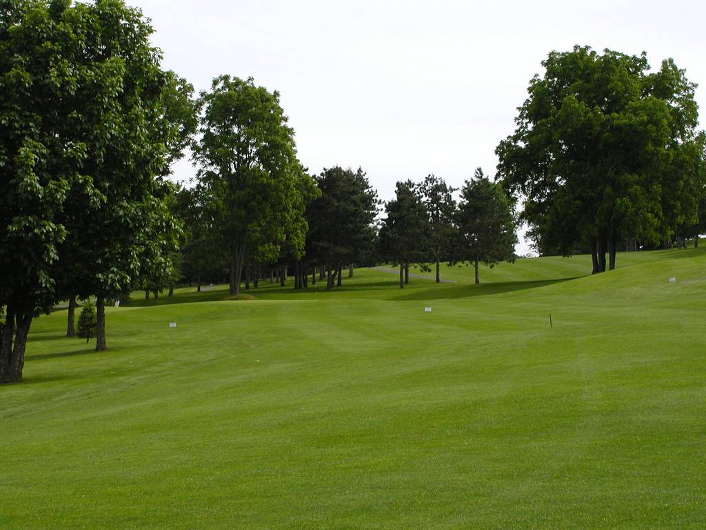 A green field with trees in the background