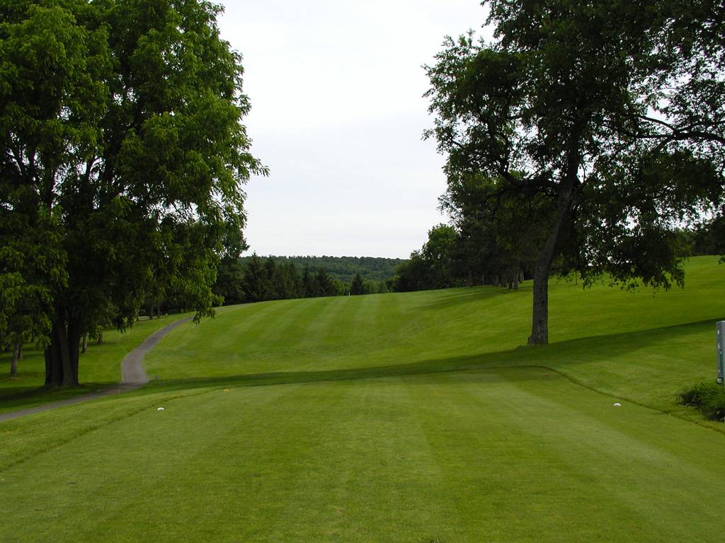 A golf course with trees and grass on the side.