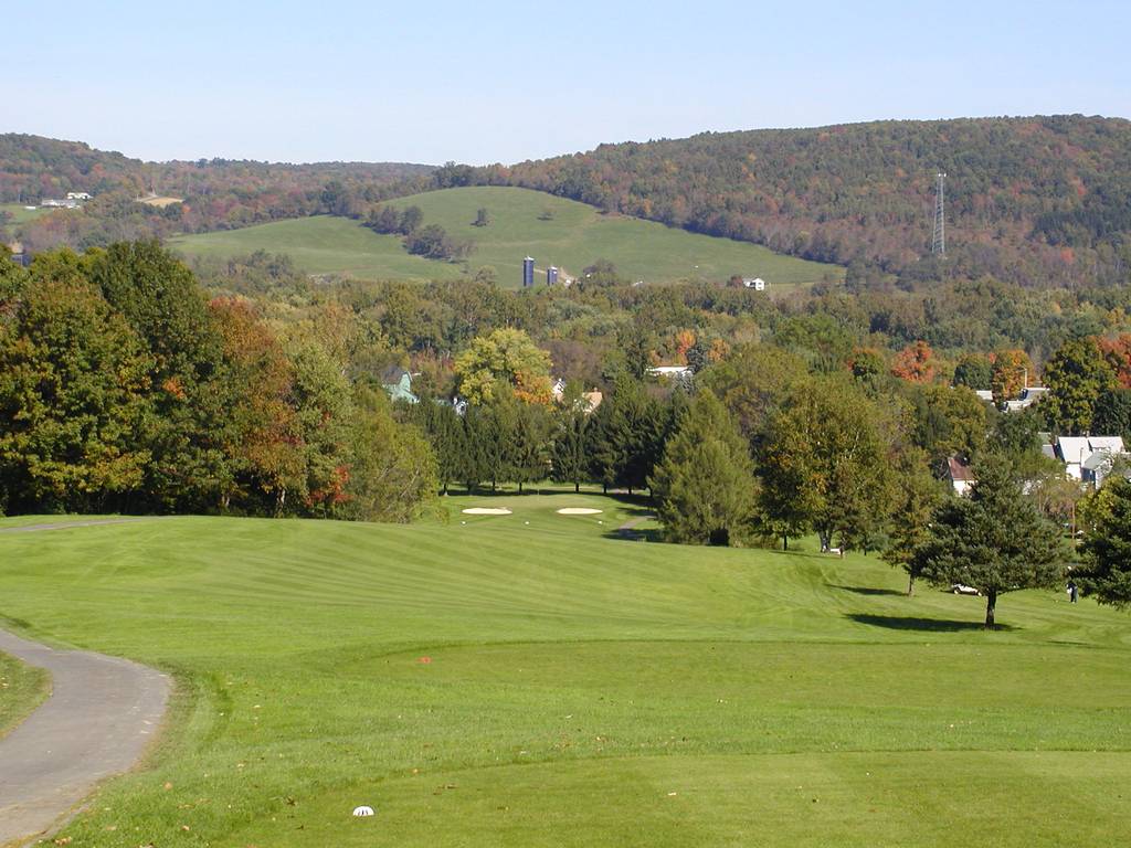 A view of a golf course with trees in the background.