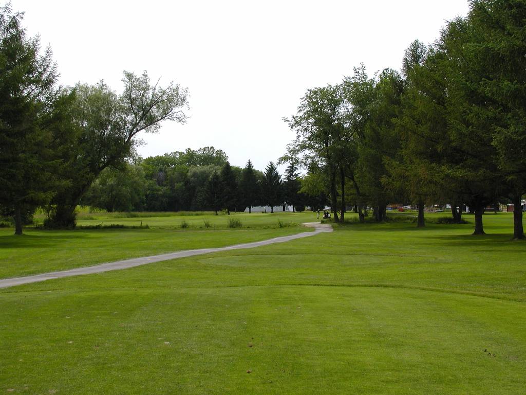 A view of a park with trees and grass.