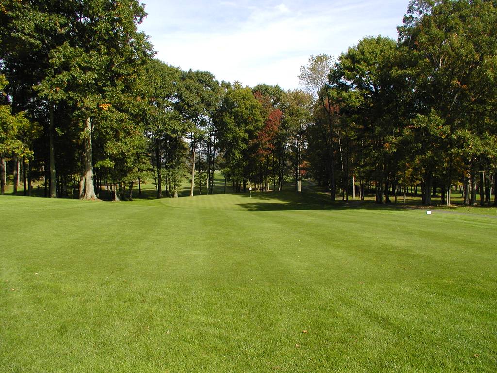 A field with trees and grass in the background.