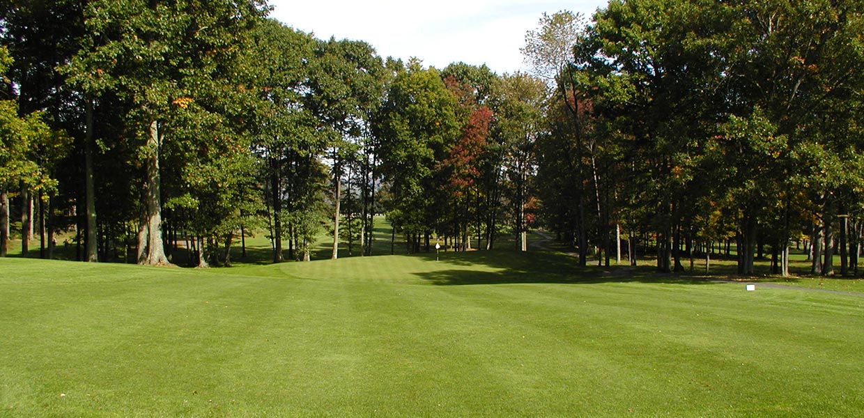 A green field with trees in the background