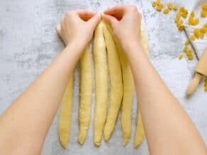 Overhead shot of two hands pinching the tops of 6 strands of challah dough together.