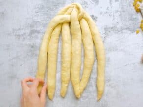 Overhead shot of a hand beginning to braid a 6 strand challah.