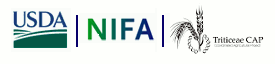 NIFA Logo