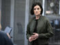 Blindspot TV Show on NBC: canceled or renewed?