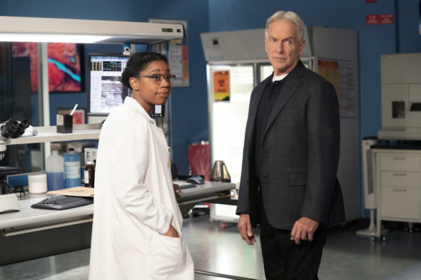 NCIS TV show on CBS: canceled or renewed for season 19?