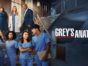 Grey's Anatomy TV Show on ABC: canceled or renewed?