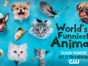 World's Funniest Animals TV show on The CW: season 4 ratings