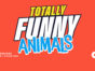 Totally Funny Animals TV show on The CW: season 1 ratings