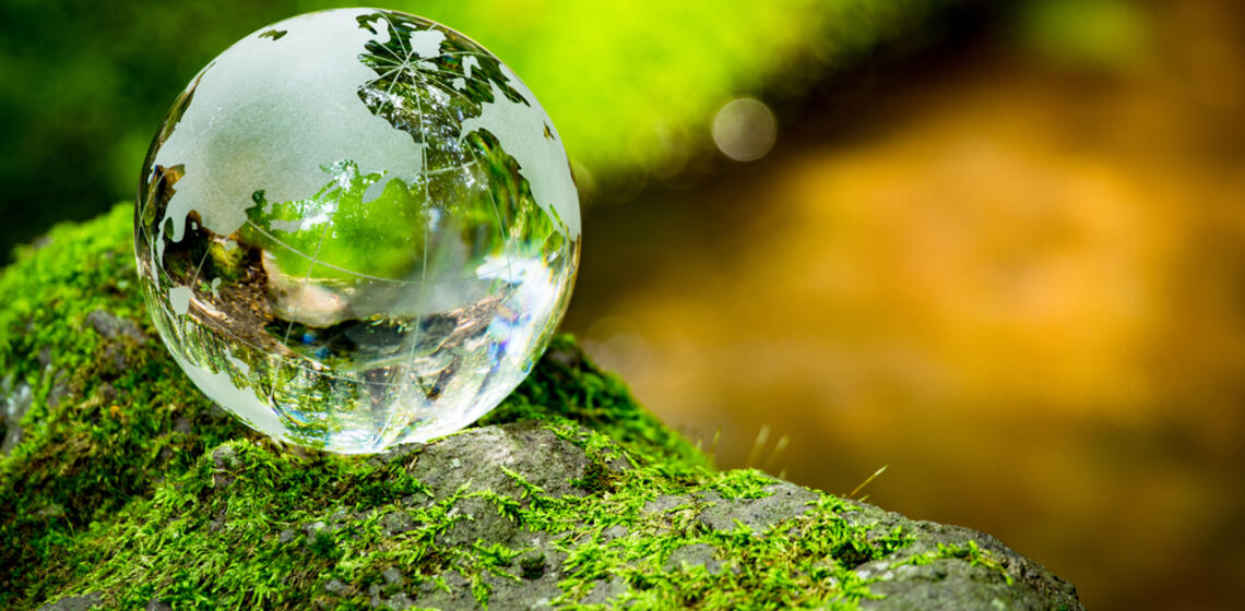 A drop of water sits on a mossy rock and reflects the greenery around it