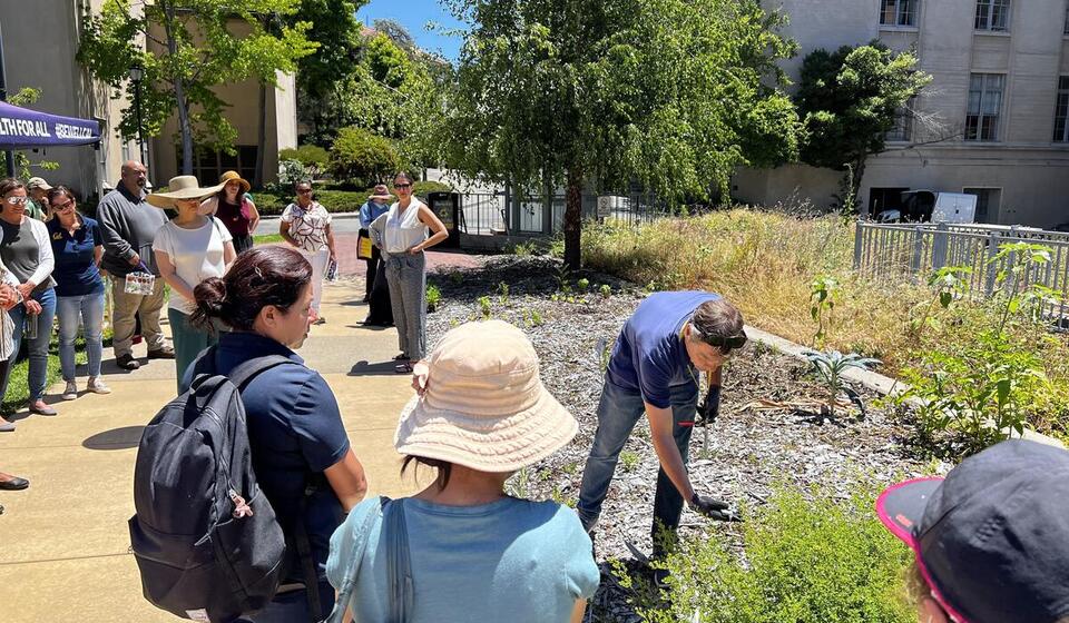 staff garden