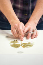 A U-M plant mounter glues clubmoss onto archival paper at the University Herbarium.