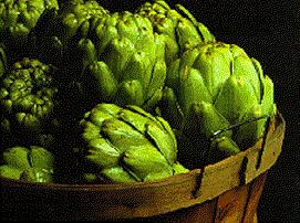 artichoke (Cynara scolymus)