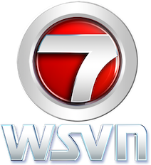 WSVN 7 Miami logo.png