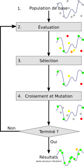 Algorithme génétique : un procédé analogue à la reproduction sexuée au niveau des chromosomes