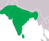 Área de distribución do C. palustris