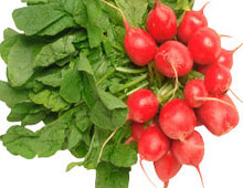 radish (Raphanus sativus)