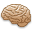 Brain icon