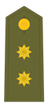 Teniente coronel