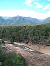 Dry Forests of the Andrefana