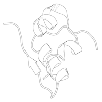 Black-and-white ribbon diagram of a pig insulin monomer.